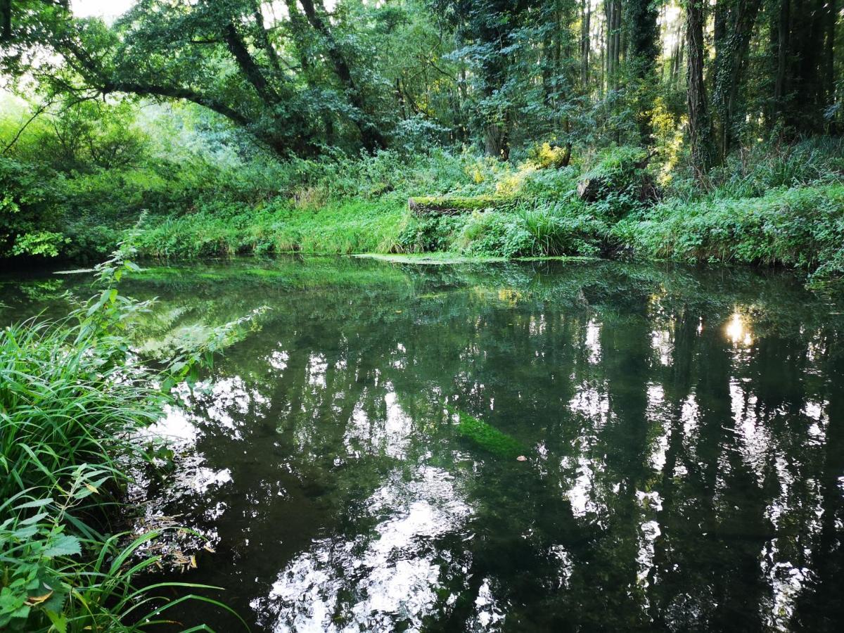 Otter 1 Huntersmoon-Warminster-Longleat-Wiltshire别墅 外观 照片